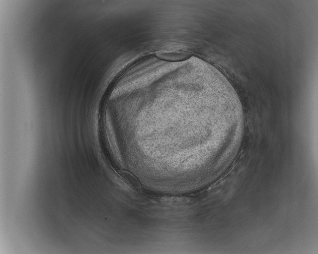 X0000111940242200908171303