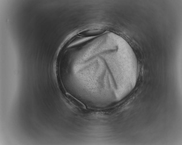 X0000111940244200908171303