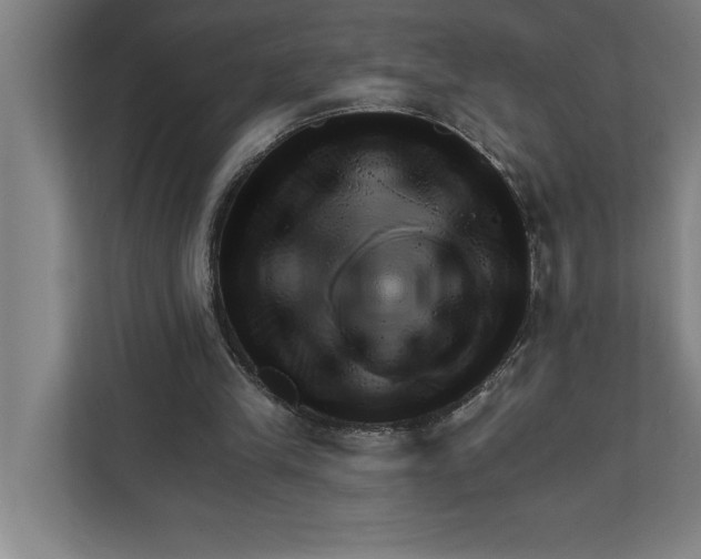 X0000111940245200908171303