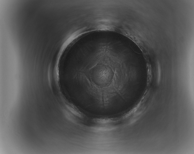 X0000111940246200908171303