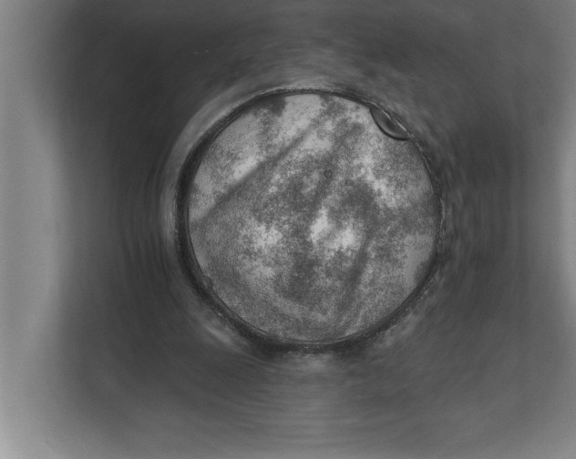 X0000111940247200908171303