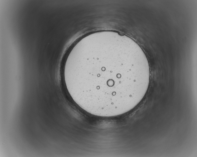 X0000111940248200908171303