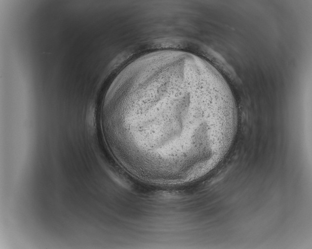 X0000111940250200908171303