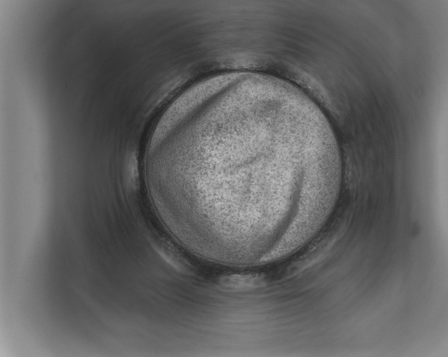 X0000111940251200908171303