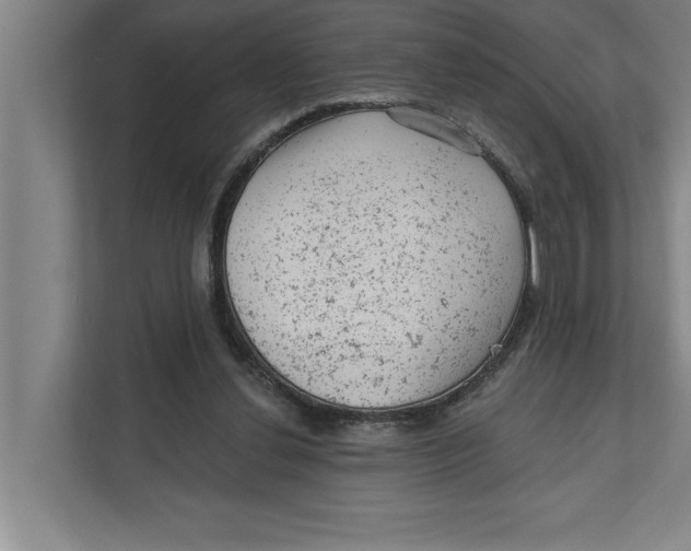 X0000111940252200908171303