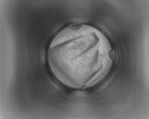 X0000111940255200908171303