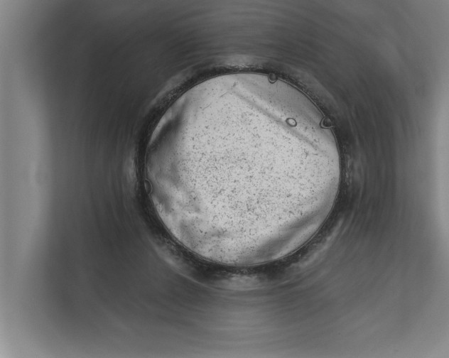 X0000111940256200908171303