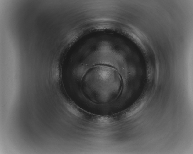 X0000111940261200908171303