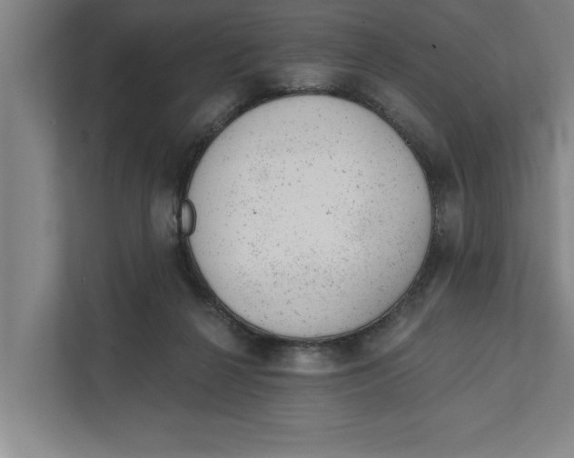 X0000111940264200908171303