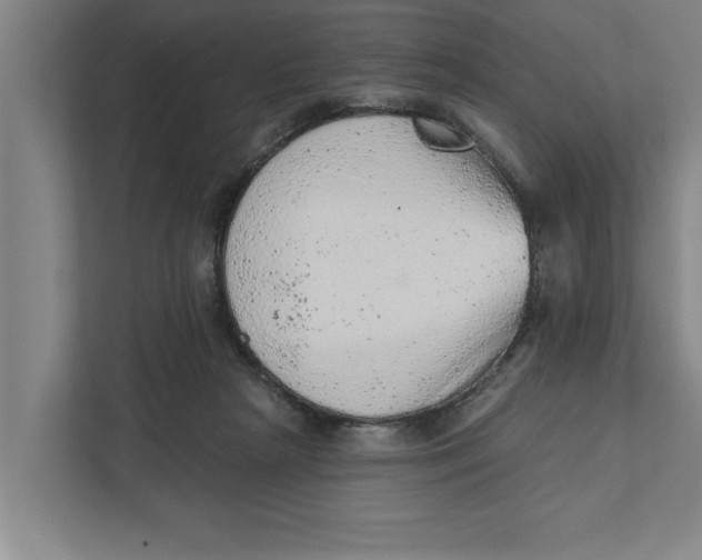 X0000111940265200908171303