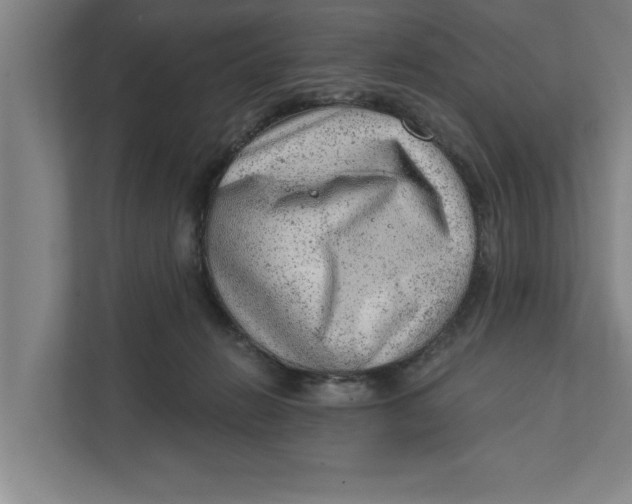 X0000111940270200908171303