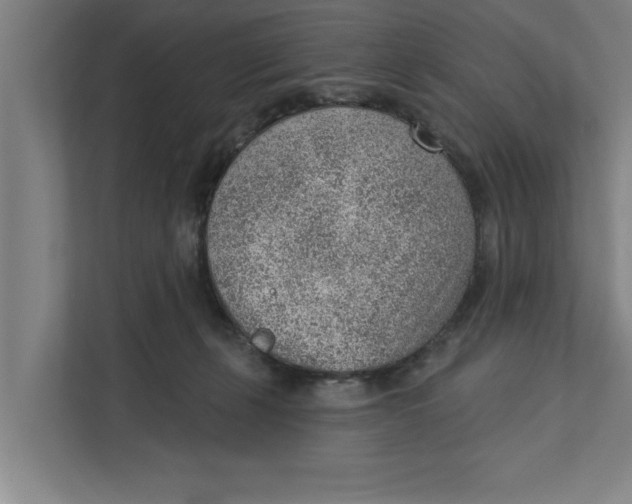 X0000111940271200908171303