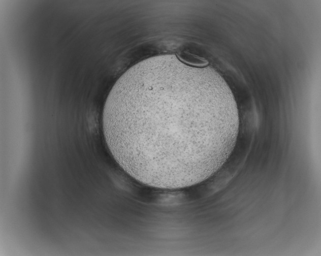 X0000111940274200908171303