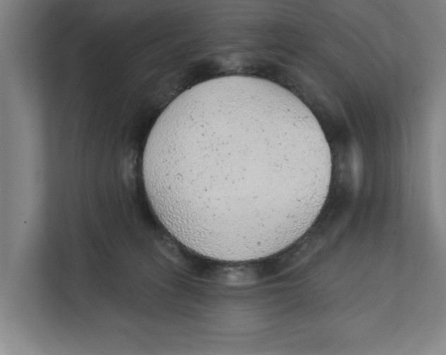 X0000111940275200908171303