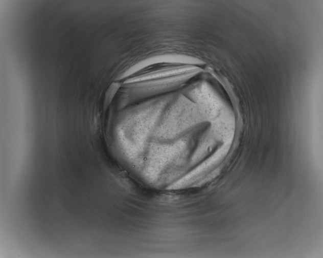 X0000111940276200908171303