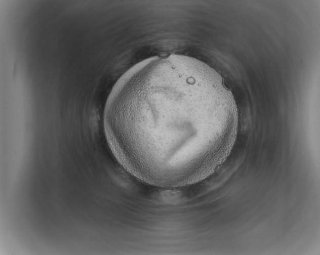 X0000111940279200908171303