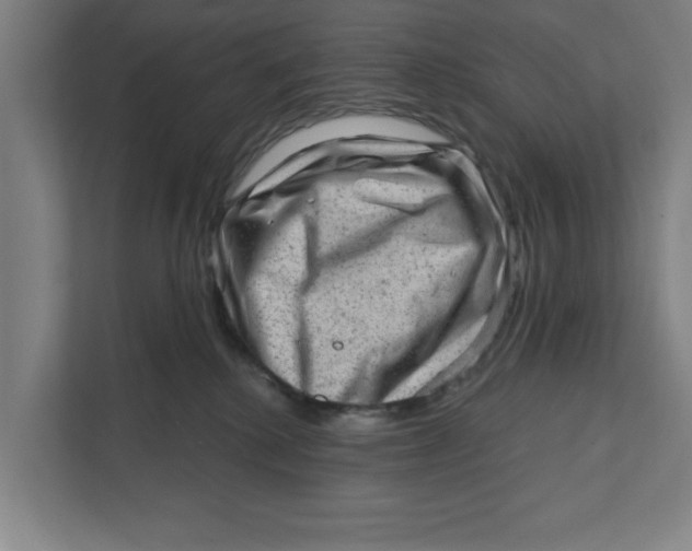 X0000111940280200908171303