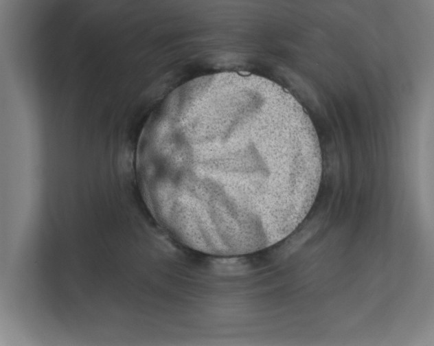 X0000111940281200908171303