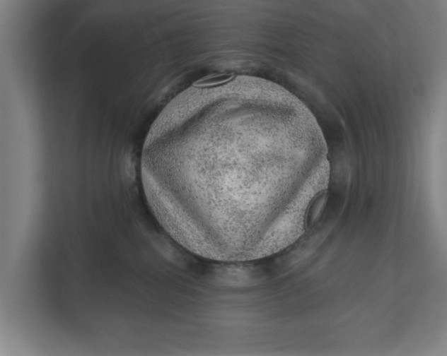 X0000111940282200908171303