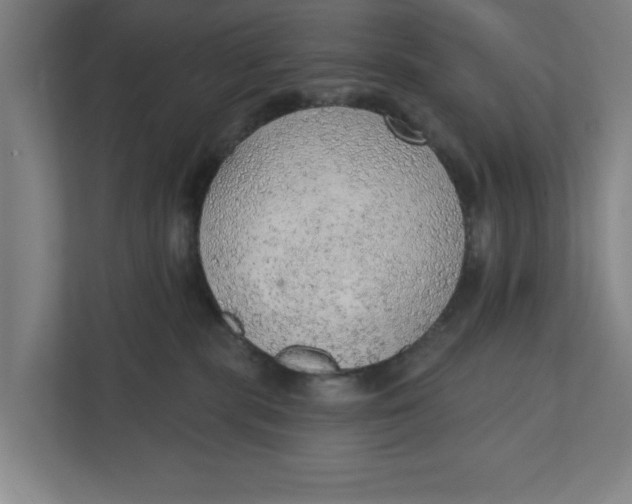 X0000111940283200908171303