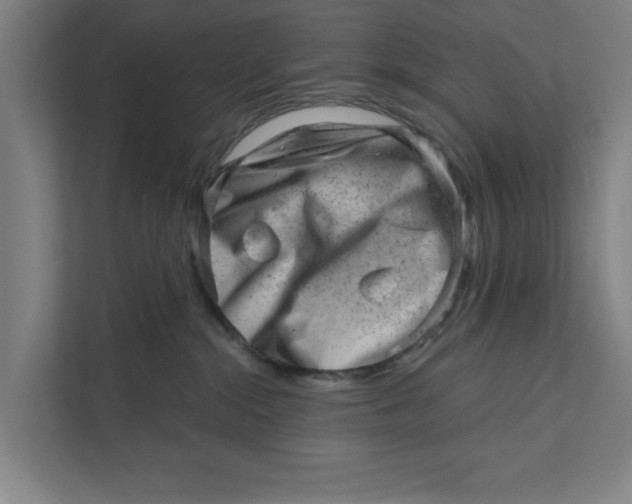 X0000111940284200908171303