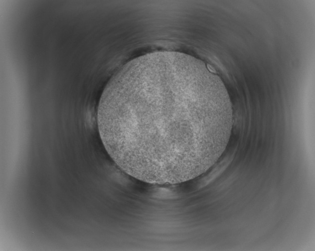 X0000111940285200908171303