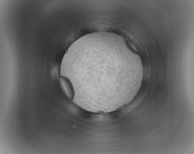 X0000111940286200908171303