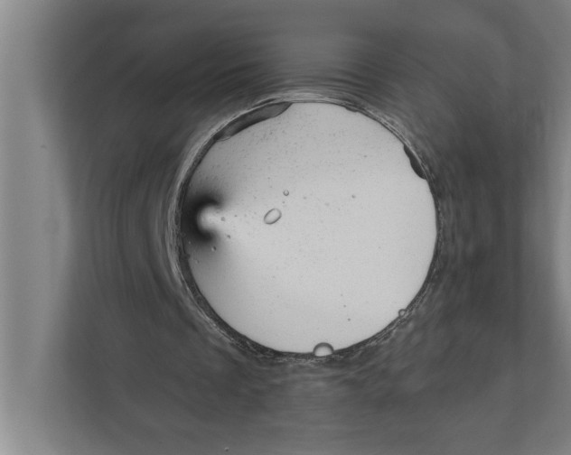 X0000111940289200908171303