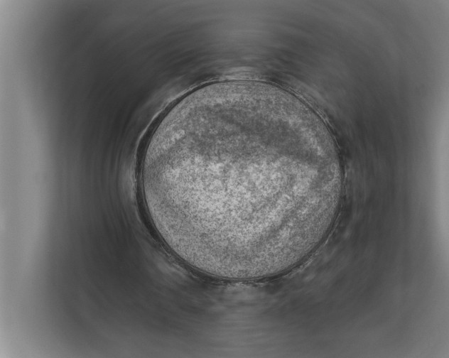 X0000111940290200908171303