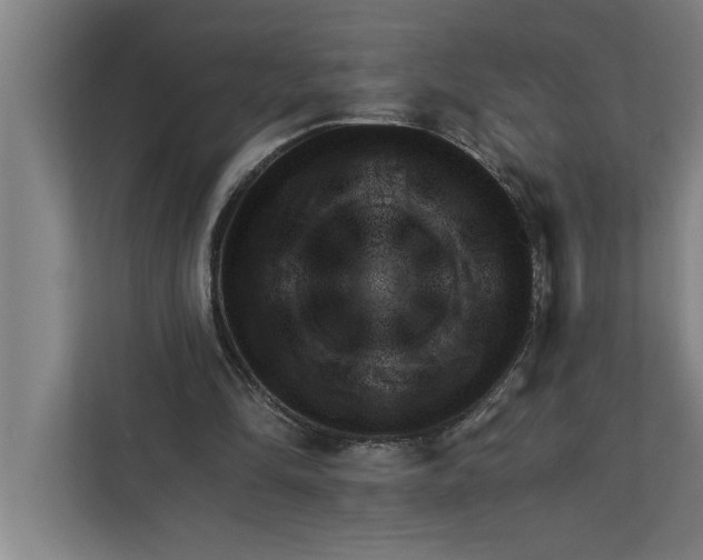 X0000111940294200908171303