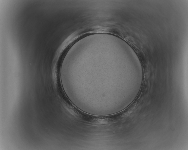 X0000111940295200908171303