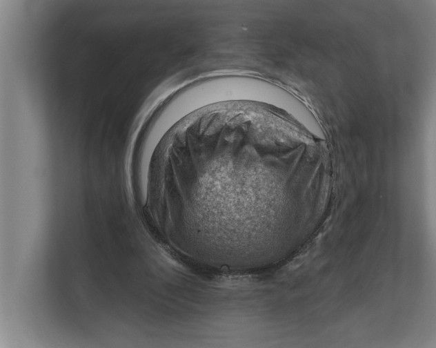 X0000111940296200908171303