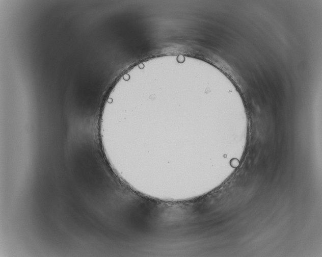 X0000111940297200908171303