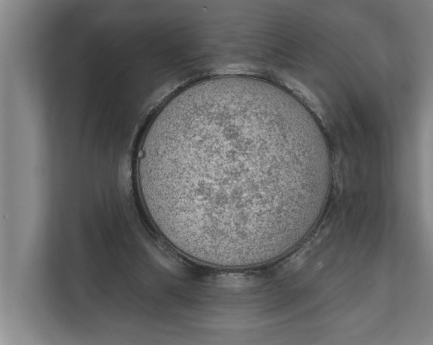 X0000111940298200908171303