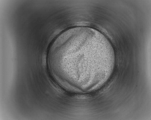 X0000111940299200908171303