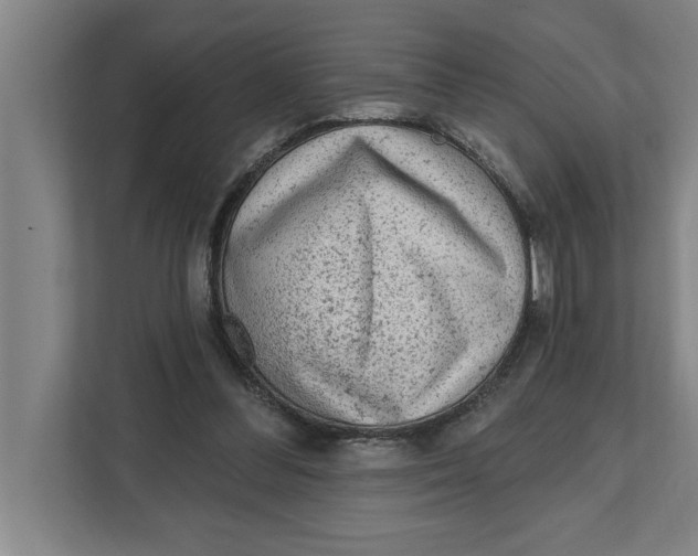 X0000111940300200908171303