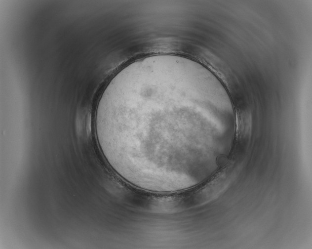 X0000111940301200908171303