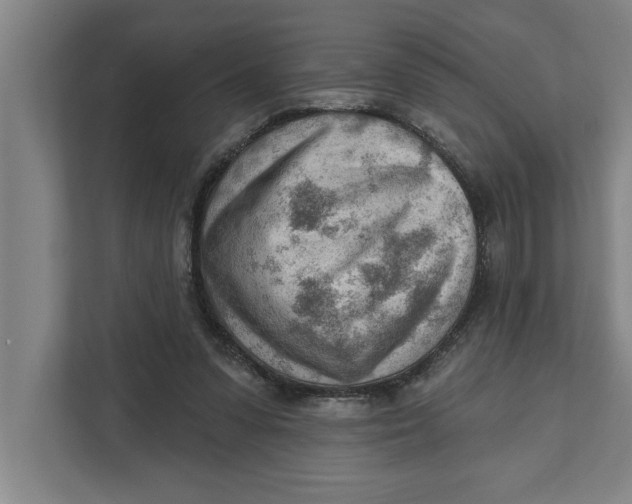 X0000111940303200908171303