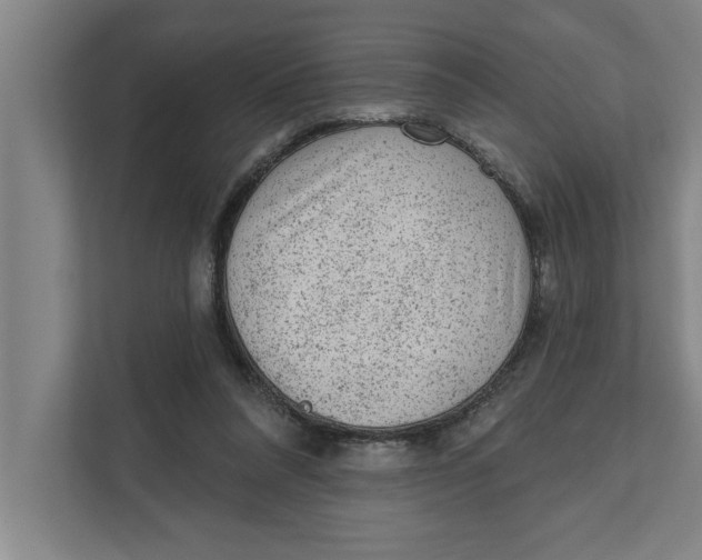 X0000111940304200908171303