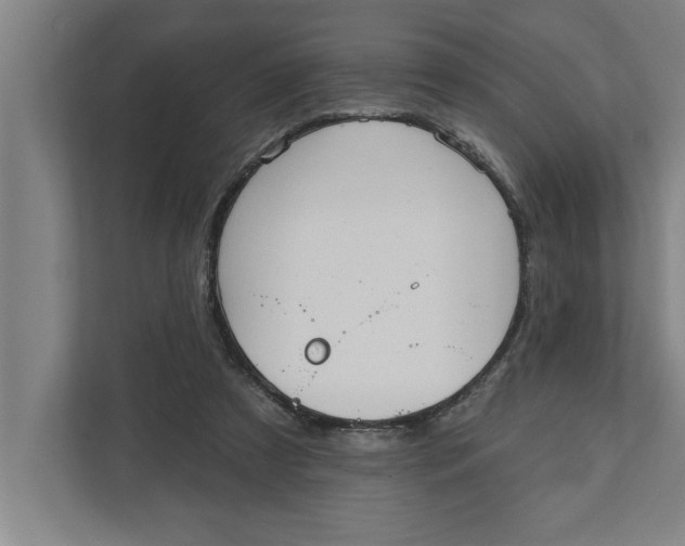 X0000111940305200908171303