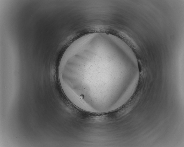 X0000111940306200908171303