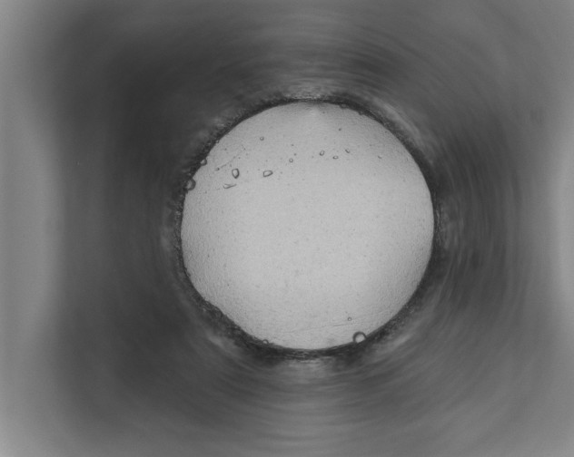 X0000111940307200908171303