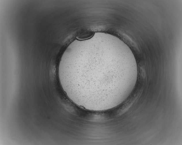 X0000111940308200908171303