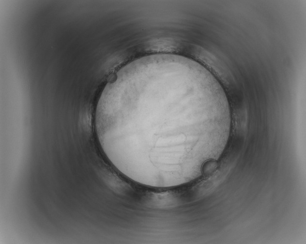 X0000111940309200908171302