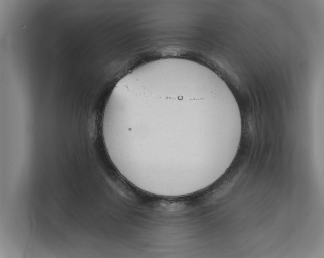 X0000111940311200908171302