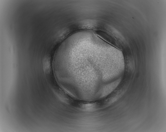 X0000111940312200908171302