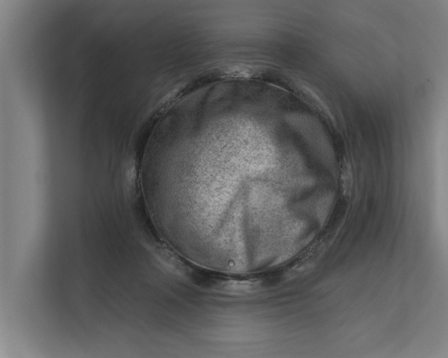 X0000111940314200908171302