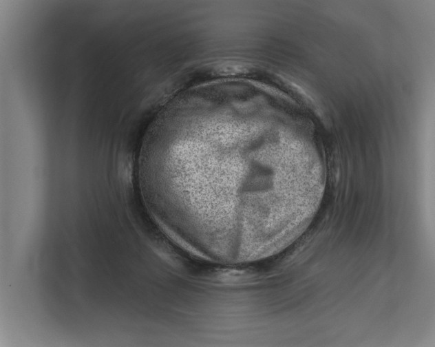 X0000111940315200908171302