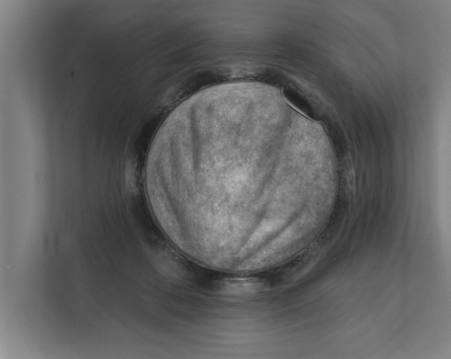 X0000111940316200908171302