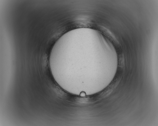 X0000111940318200908171302